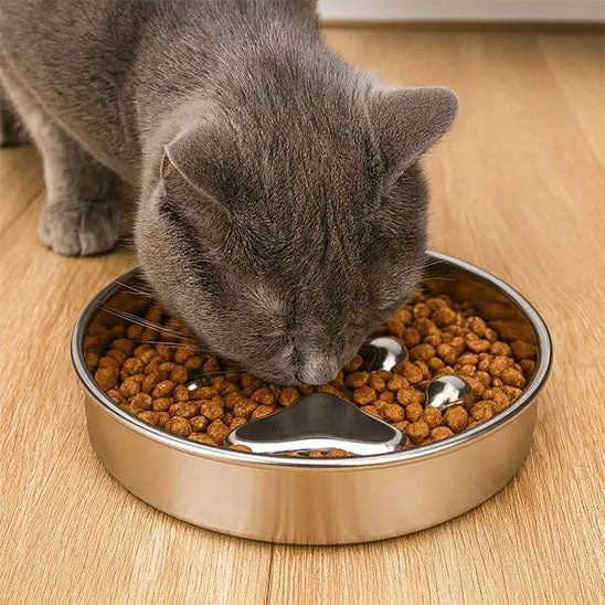 Gamelle anti glouton chat | En acier inoxydable