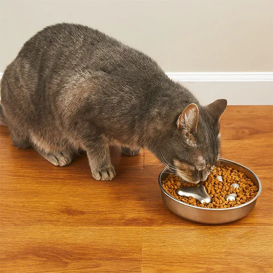 Gamelle anti glouton chat | En acier inoxydable