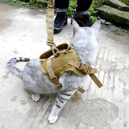 Harnais pour chat | ExploSécure