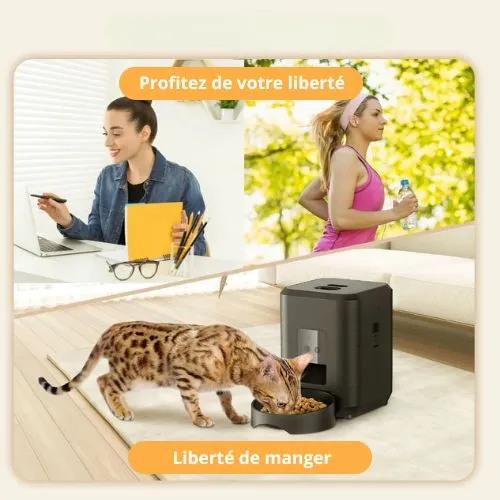 Distributeur de croquettes pour chat automatique - Smart Feed
