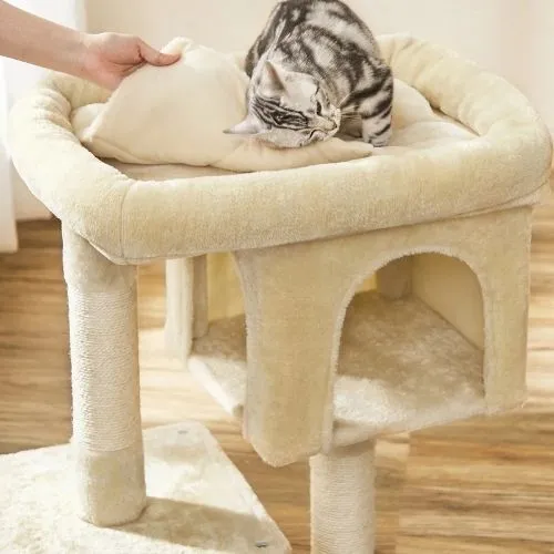 Arbre à chat - CozyDuo 80 cm