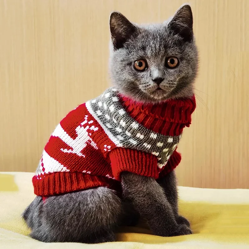 Pull de Noël pour chat