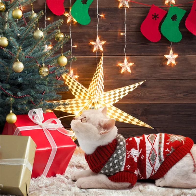 Pull de Noël pour chat