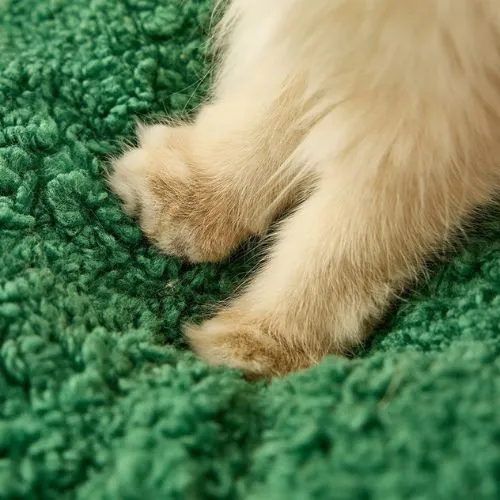 Coussin de Noël pour chat