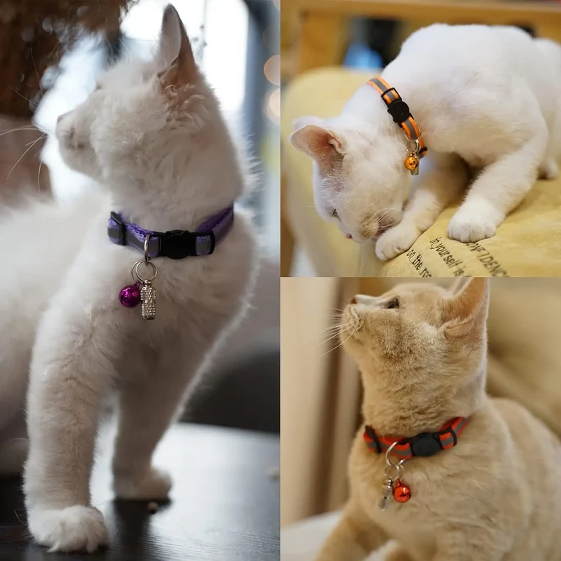 Pendentif chat anti perte