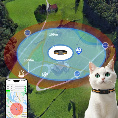 Collier GPS chat sans abonnement