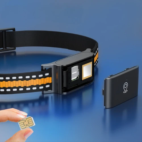 Collier GPS chat sans abonnement