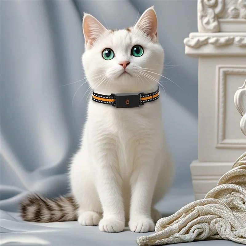 Collier GPS chat sans abonnement