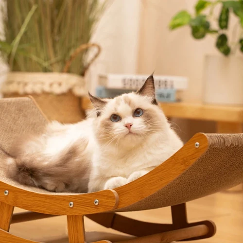 Hamac pour chat - Avec griffoir intégré en carton