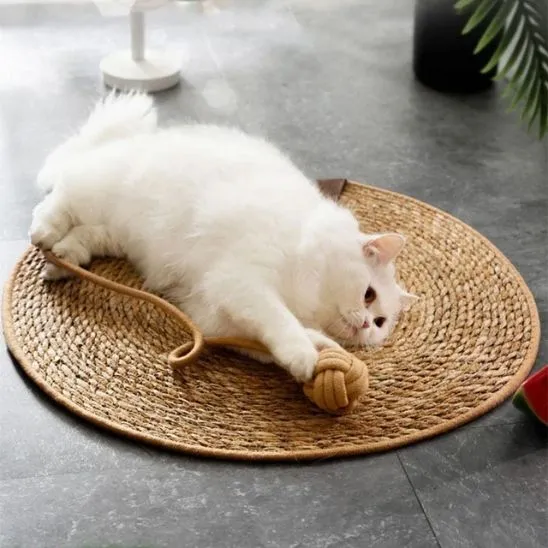 Tapis griffoir chat - Résistant