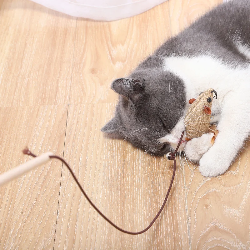 Pack de 7 Jouets pour Chat avec Plumes