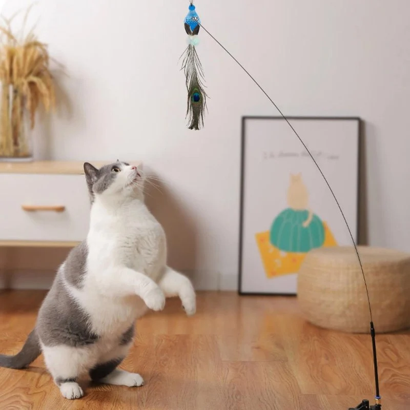 2 Oiseaux de rechange pour bâton interactif