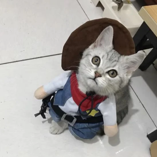 Déguisement pour Chat - Cow-boy
