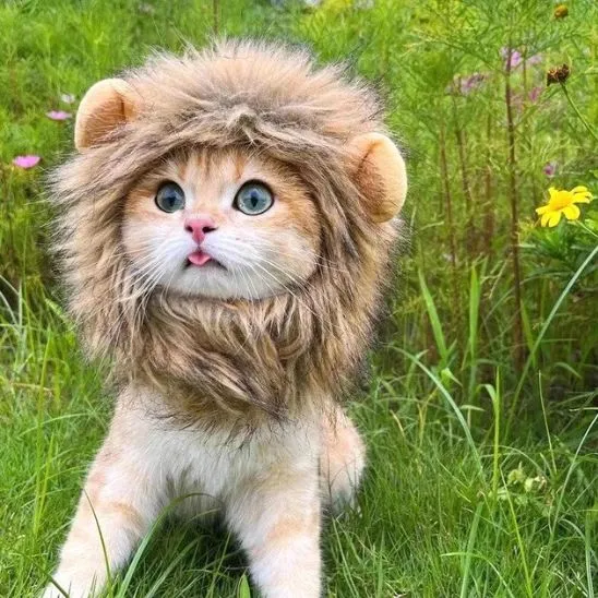 Déguisement pour Chat - Roi Lion