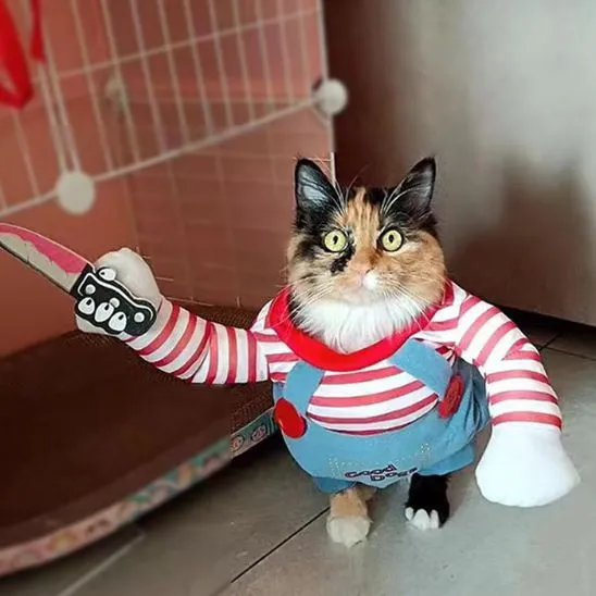 Déguisement pour Chat - Halloween
