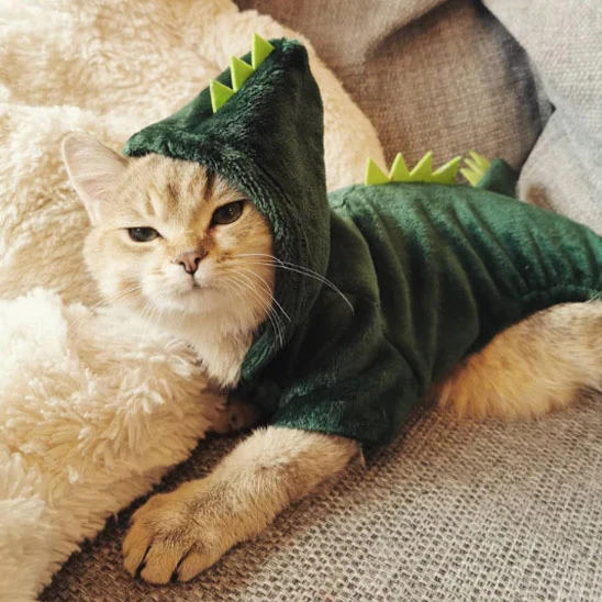 Déguisement pour Chat - Dinosaure