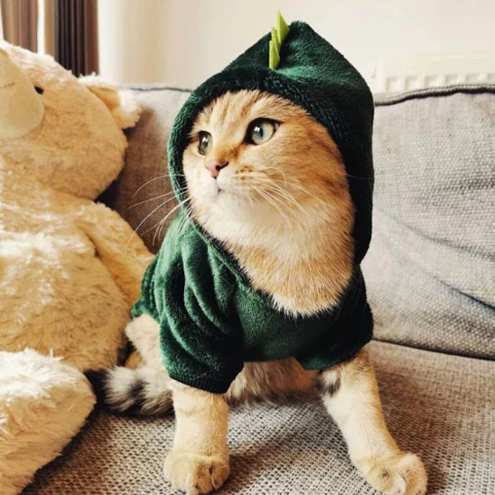 Déguisement pour Chat - Dinosaure