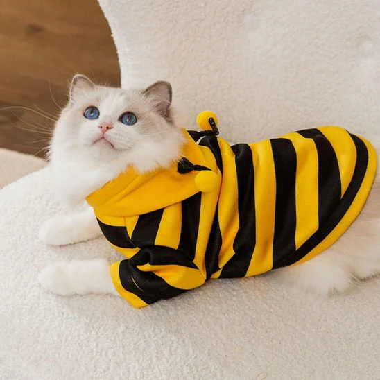 Déguisement pour Chat- Abeille