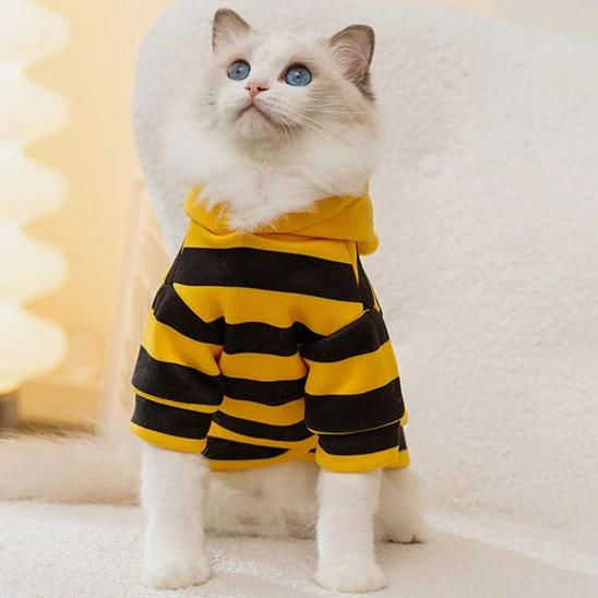 Déguisement pour Chat- Abeille