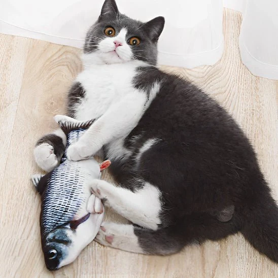 Jouet pour chat - Poisson interactif