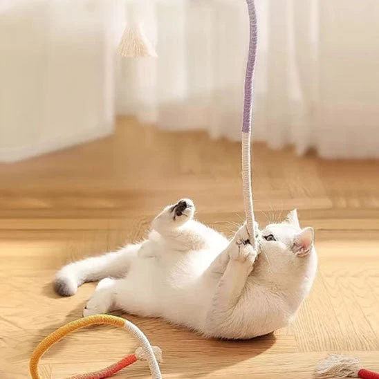Jouet pour chat - À mordiller