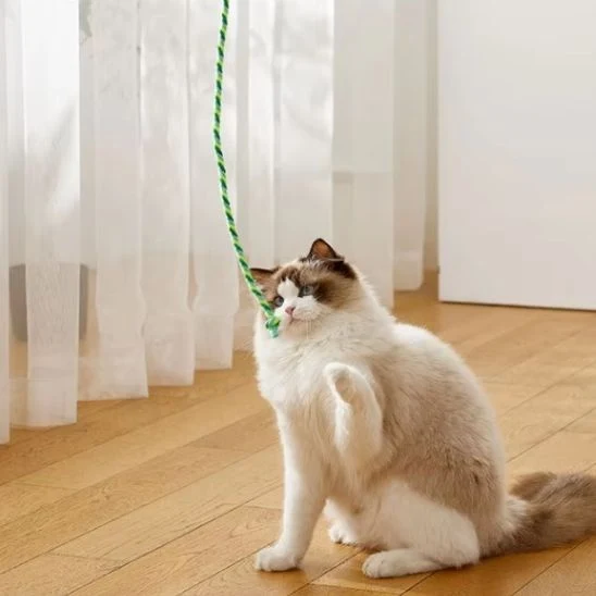 Canne à pêche jouet chat – Pack de 3