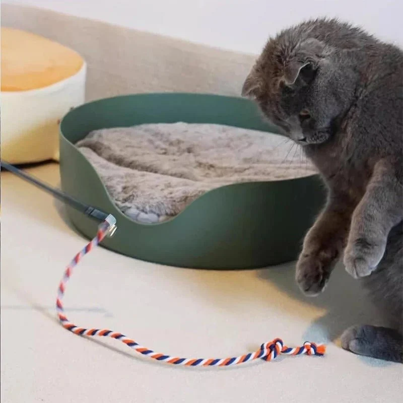 Canne à pêche jouet chat – Pack de 3