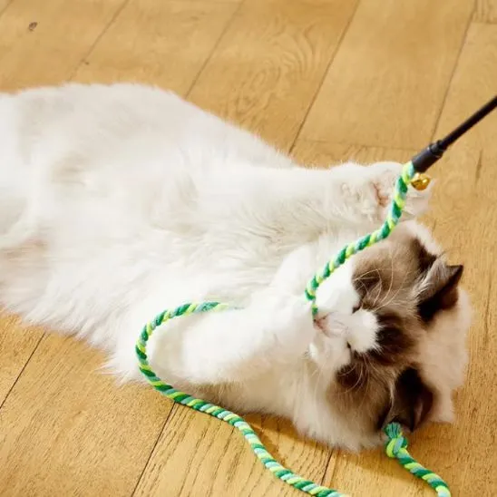 Canne à pêche jouet chat – Pack de 3