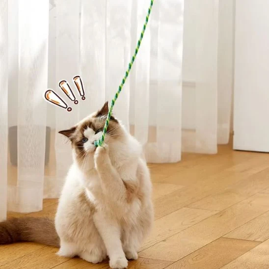 Canne à pêche jouet chat – Pack de 3