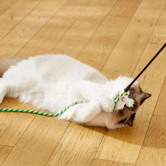 Canne à pêche jouet chat – Pack de 3