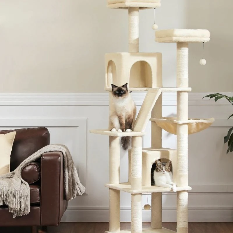 Arbre à chat XXL - 180 cm