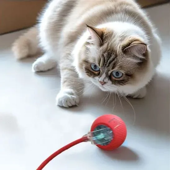 Balle interactive jouet chat - Rolling Ball