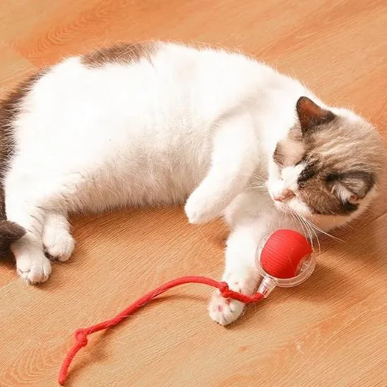 Balle interactive jouet chat - Rolling Ball