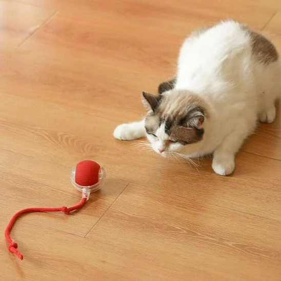 Balle interactive jouet chat - Rolling Ball