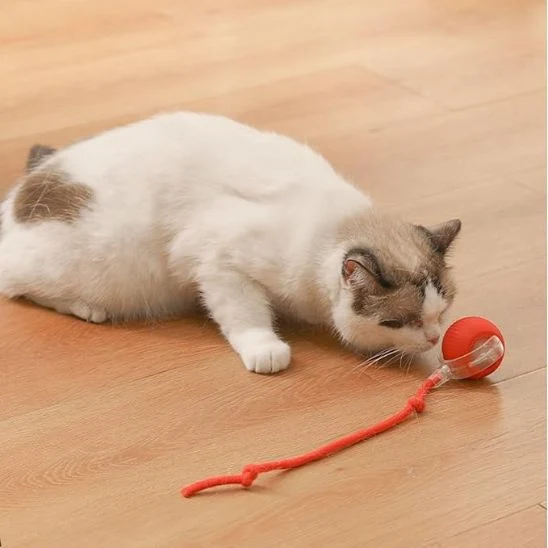 Balle interactive jouet chat - Rolling Ball