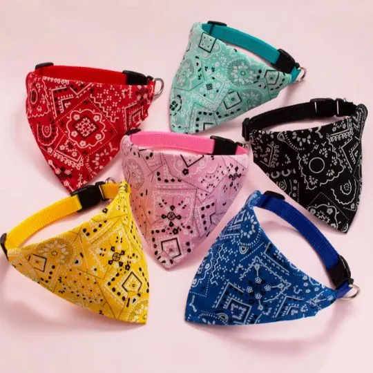 Collier chat - Bandana