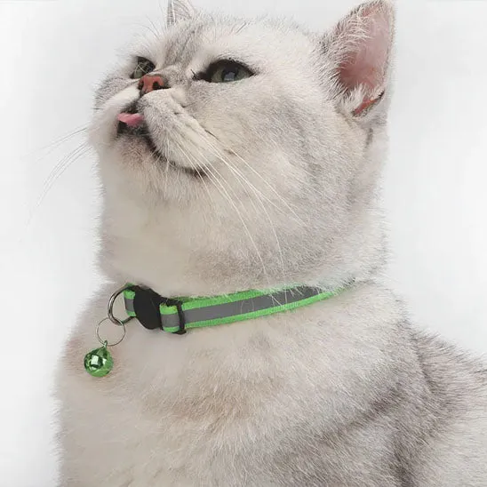 Collier chat anti étranglement - Réfléchissant