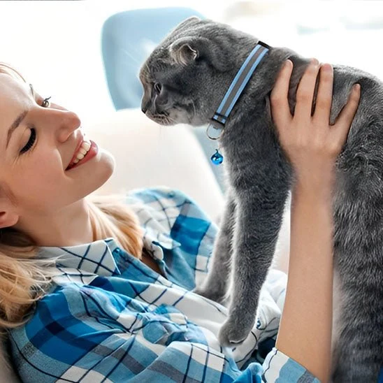 Collier chat anti étranglement - Réfléchissant
