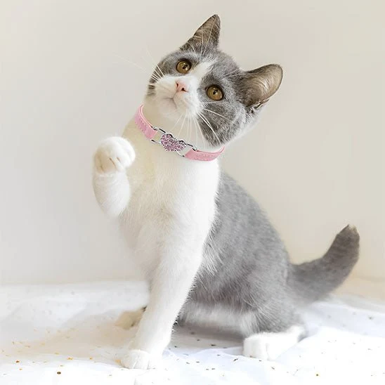 Collier chat - Avec coeur en strass