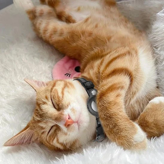 Collier chat - Support AirTag