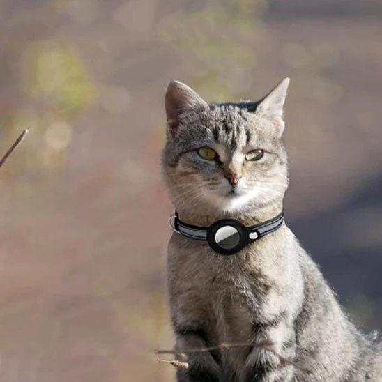 Collier chat - Support AirTag