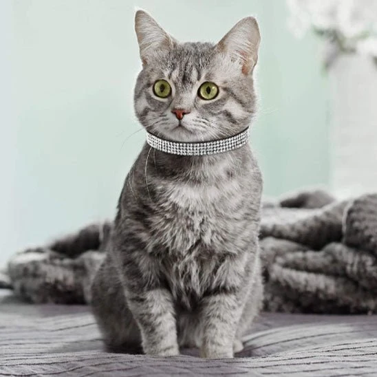 Collier chat - Bling-Bling