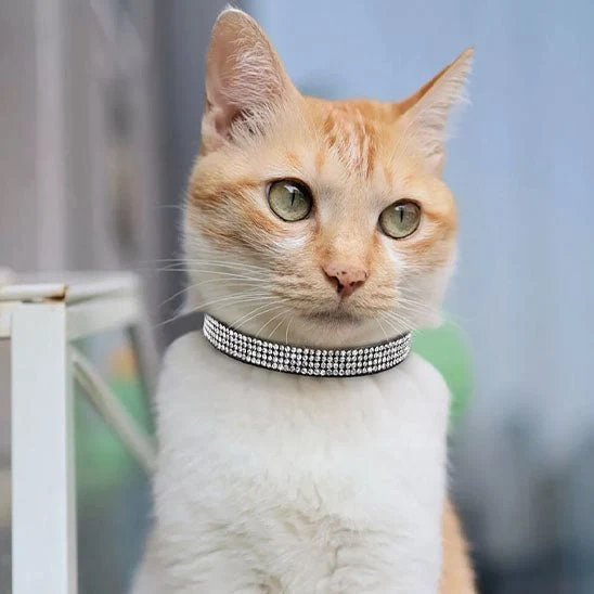 Collier chat - Bling-Bling