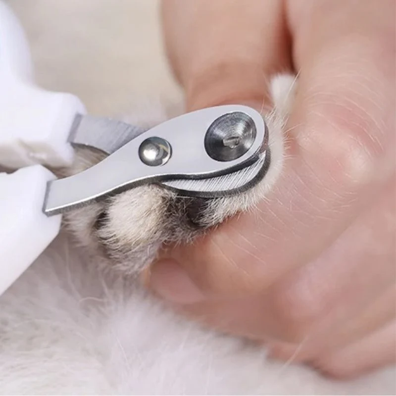 Coupe griffe pour chat - Avec trou de précision