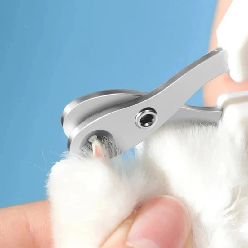 Coupe griffe pour chat - Avec trou de précision