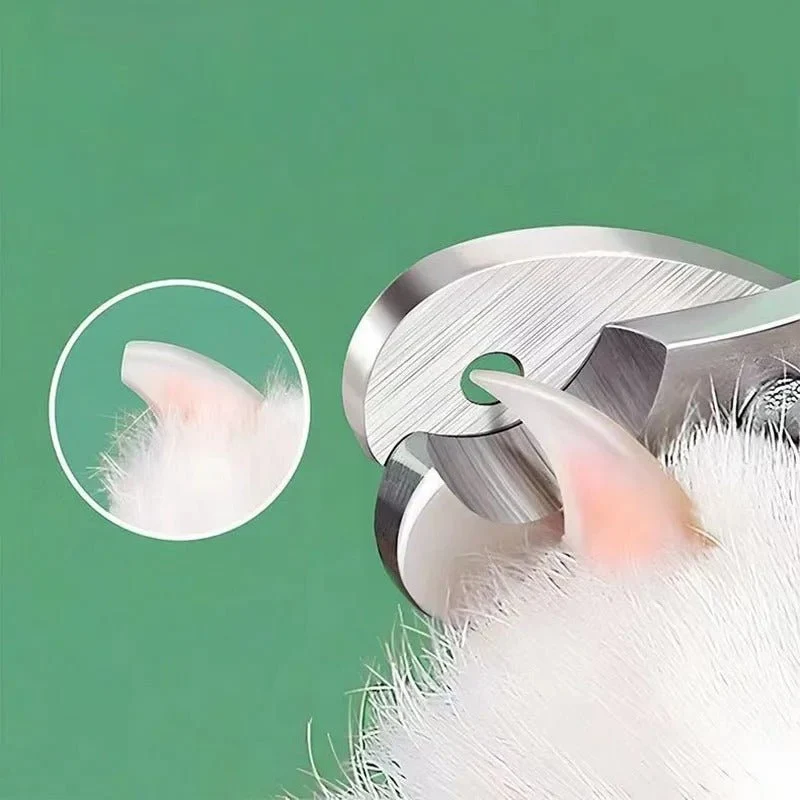 Coupe griffe pour chat - Avec trou de précision
