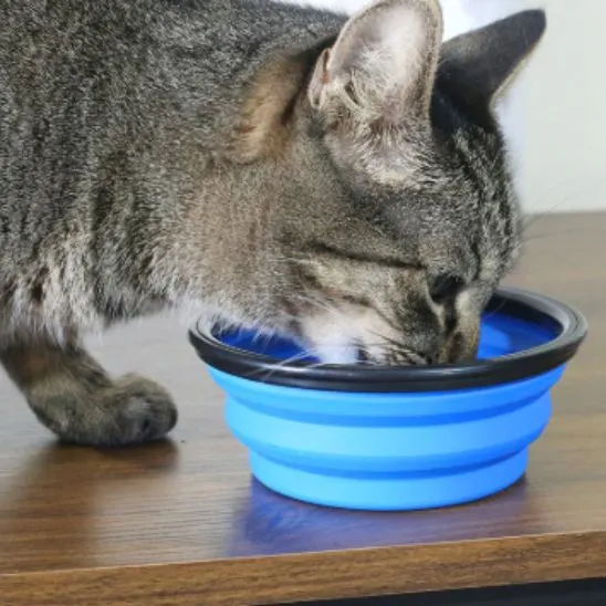 Gamelle chat - Portable pour sorties et voyages