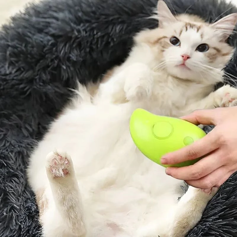 Brosse chat - À vapeur