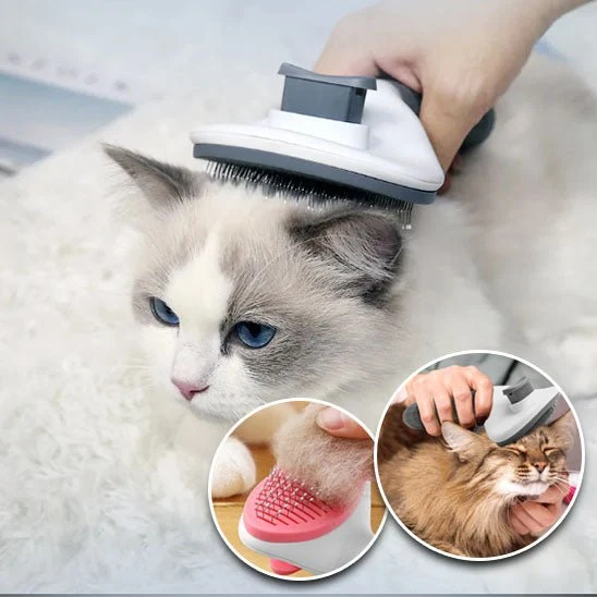 Brosse pour chat - Autonettoyante