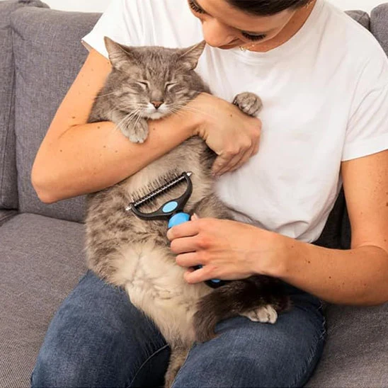 Brosse chat poil long